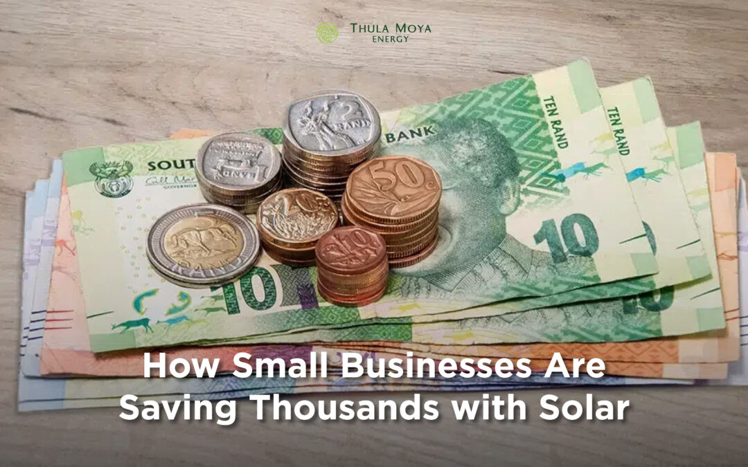 How Small Businesses Are Saving Thousands with Solar