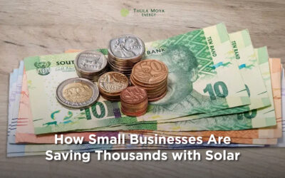 How Small Businesses Are Saving Thousands with Solar